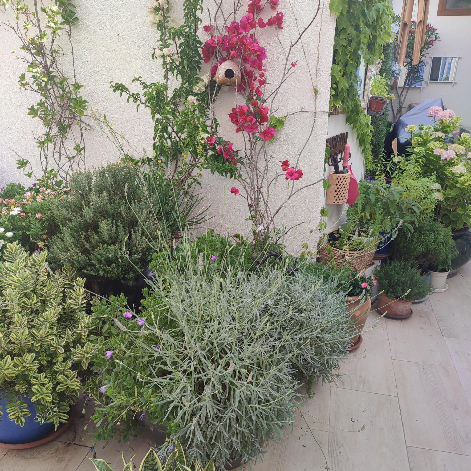 דירות אנטיב Juan Les Pins Plages Clim Wifi Maison Entiere מראה חיצוני תמונה