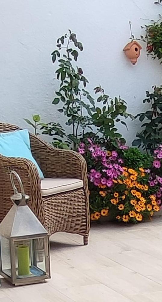 דירות אנטיב Juan Les Pins Plages Clim Wifi Maison Entiere מראה חיצוני תמונה